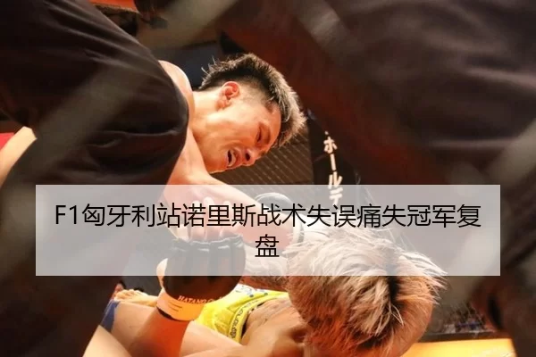 F1匈牙利站诺里斯战术失误痛失冠军复盘