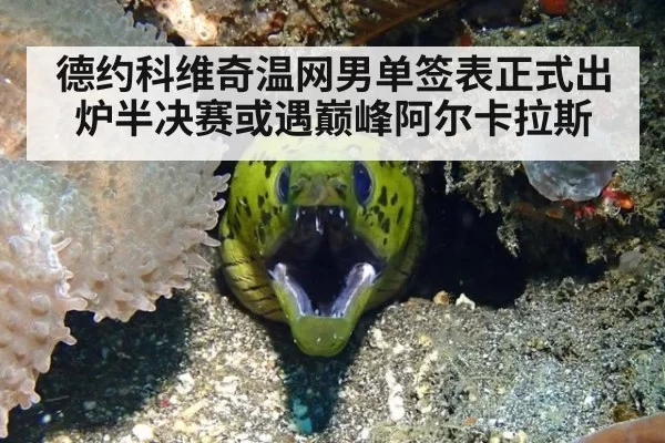德约科维奇温网男单签表正式出炉半决赛或遇巅峰阿尔卡拉斯